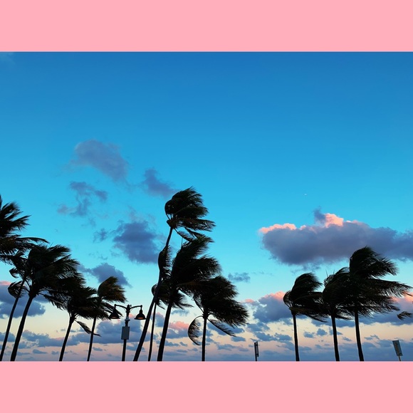 Meet your Posher, Caroline - Picture 4 of 8